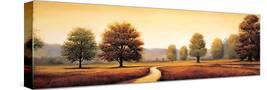 Stretched Canvas