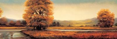 Landscape Panorama II-Ryan Franklin-Framed Art Print