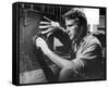 Ryan O'Neal - The Thief Who Came to Dinner-null-Framed Stretched Canvas