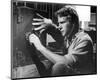 Ryan O'Neal - The Thief Who Came to Dinner-null-Mounted Photo