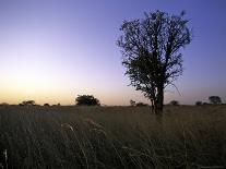 Child by Straw Hut, South Africa-Ryan Ross-Photographic Print