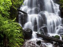 Fairy Falls in the Columbia River Gorge Outside of Portland, Or-Ryan Wright-Photographic Print