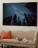 The Milky Way Shines Above the Forest in the San Juan Mountains of Southern Colorado.-Ryan Wright-Framed Photographic Print