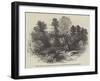 Rydal Mount, the Residence of the Late R Wordsworth-null-Framed Giclee Print