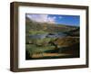 Rydal Water, Lake District National Park, Cumbria, England, United Kingdom-Roy Rainford-Framed Photographic Print