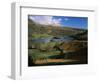 Rydal Water, Lake District National Park, Cumbria, England, United Kingdom-Roy Rainford-Framed Photographic Print