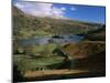 Rydal Water, Lake District National Park, Cumbria, England, United Kingdom-Roy Rainford-Mounted Photographic Print