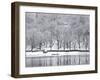 Rydal Water, Near Ambleside, Lake District National Park, Cumbria, England, UK-Lee Frost-Framed Photographic Print