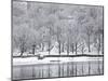 Rydal Water, Near Ambleside, Lake District National Park, Cumbria, England, UK-Lee Frost-Mounted Photographic Print