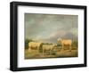 Ryelands Sheep, the King's Ram, the King's Ewe and Lord Somerville's Wether, C.1801-07-James Ward-Framed Giclee Print