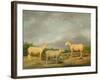 Ryelands Sheep, the King's Ram, the King's Ewe and Lord Somerville's Wether, C.1801-07-James Ward-Framed Giclee Print