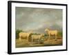 Ryelands Sheep, the King's Ram, the King's Ewe and Lord Somerville's Wether, C.1801-07-James Ward-Framed Giclee Print