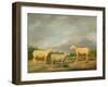 Ryelands Sheep, the King's Ram, the King's Ewe and Lord Somerville's Wether, C.1801-07-James Ward-Framed Giclee Print