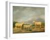 Ryelands Sheep, the King's Ram, the King's Ewe and Lord Somerville's Wether, C.1801-07-James Ward-Framed Giclee Print