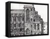 Rylands Library, Manchester,2007-Vincent Alexander Booth-Framed Stretched Canvas