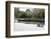 Ryoan-Ji Temple in Kyoto, Japan.-Sira Anamwong-Framed Photographic Print