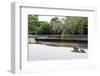 Ryoan-Ji Temple in Kyoto, Japan.-Sira Anamwong-Framed Photographic Print