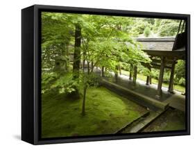 Ryoanji Temple Moss Garden, Ryoan-Ji Temple, Unesco World Heritage Site, Kyoto City, Honshu, Japan-Christian Kober-Framed Stretched Canvas