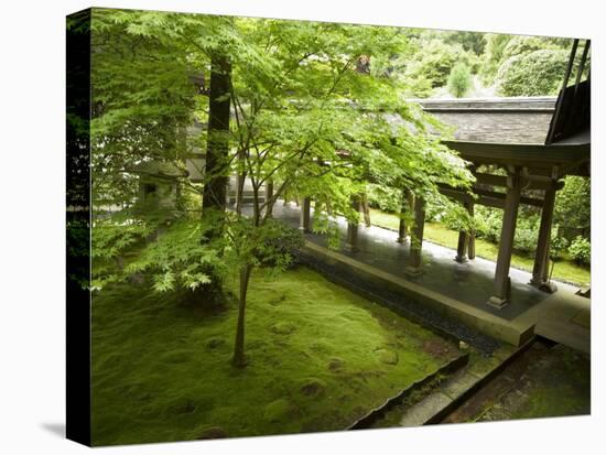 Ryoanji Temple Moss Garden, Ryoan-Ji Temple, Unesco World Heritage Site, Kyoto City, Honshu, Japan-Christian Kober-Stretched Canvas