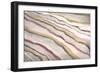 Rythmic Waves-Rikki Drotar-Framed Giclee Print