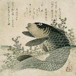 Carp Among Pond Plants, C.1800-Ryuryukyo Shinsai-Giclee Print