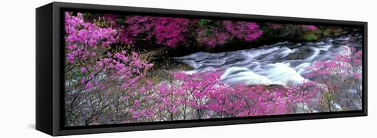 Ryuzu Falls Tochigi Japan-null-Framed Stretched Canvas