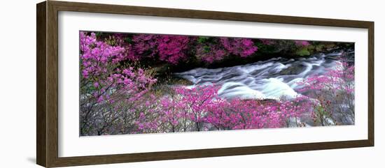 Ryuzu Falls Tochigi Japan-null-Framed Photographic Print