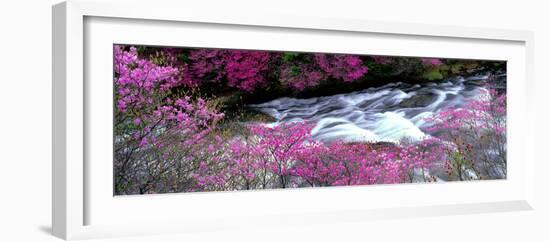 Ryuzu Falls Tochigi Japan-null-Framed Photographic Print