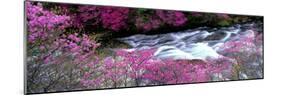 Ryuzu Falls Tochigi Japan-null-Mounted Photographic Print