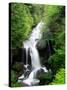 Ryuzu Water Falls-null-Stretched Canvas