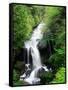 Ryuzu Water Falls-null-Framed Stretched Canvas