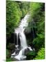 Ryuzu Water Falls-null-Mounted Premium Photographic Print