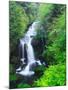 Ryuzu Water Falls-null-Mounted Photographic Print