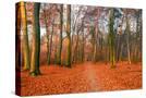 Stretched Canvas
