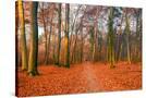 Stretched Canvas
