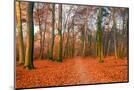 Wood Mount