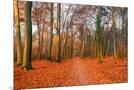 Wood Mount