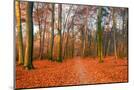 Wood Mount