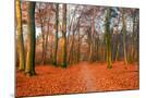 Wood Mount