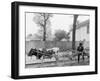 S.C. Huckster, South Carolina-null-Framed Photo