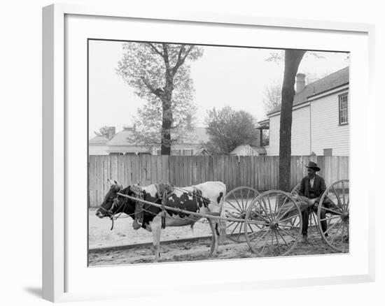 S.C. Huckster, South Carolina-null-Framed Photo