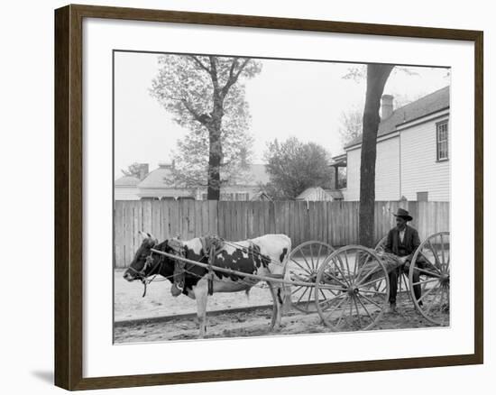 S.C. Huckster, South Carolina-null-Framed Photo