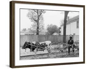 S.C. Huckster, South Carolina-null-Framed Photo