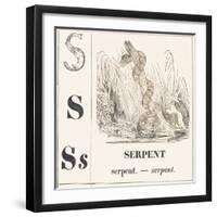 S for Serpent, 1850 (Engraving)-Louis Simon (1810-1870) Lassalle-Framed Giclee Print