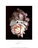 Parfum IV-S^ G^ Rose-Framed Art Print