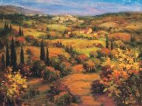 Umbria Panorama-S^ Hinus-Mounted Art Print