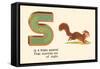 S is a Frisky Squirrel-null-Framed Stretched Canvas