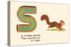 S is a Frisky Squirrel-null-Stretched Canvas