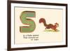 S is a Frisky Squirrel-null-Framed Art Print