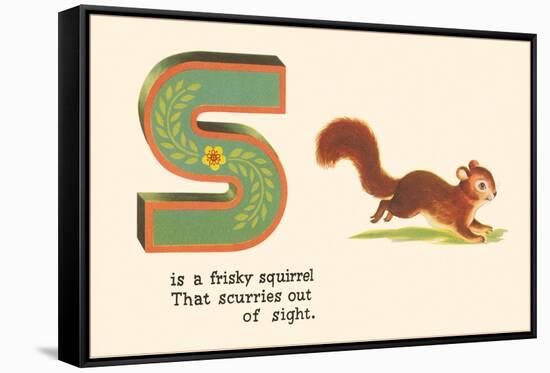 S is a Frisky Squirrel-null-Framed Stretched Canvas